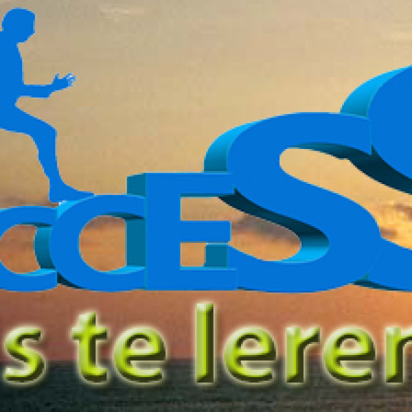 3 daagse workshop Succes is te leren